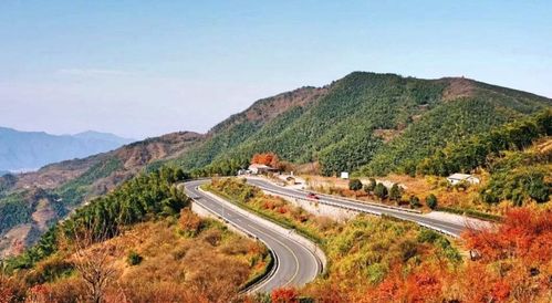 馳騁浙里，挑戰(zhàn)自我 浙江三條絕美盤山公路與鐵路隔離柵的守護(hù)