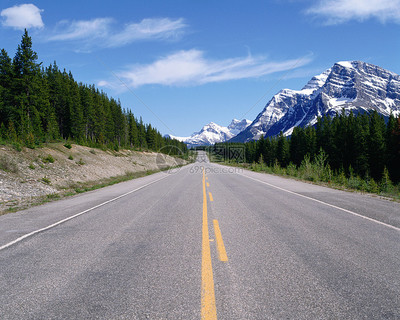 風(fēng)景如畫的荒蕪高速公路 聲屏障下的靜謐與回響